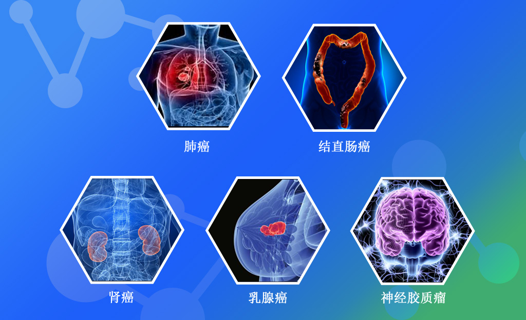 Double happiness! Dongfang Baitai adalimumab Bio-similar Drugs Obtained Clinical Approval!